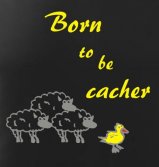 Born to be ...
